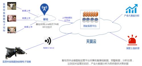 天翼終端展 智慧農(nóng)業(yè)產(chǎn)業(yè)園的物聯(lián)網(wǎng)技術服務新圖景